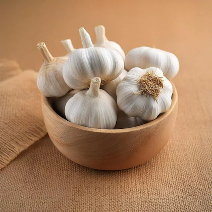 Garlic ಬೆಳ್ಳುಳ್ಳಿ