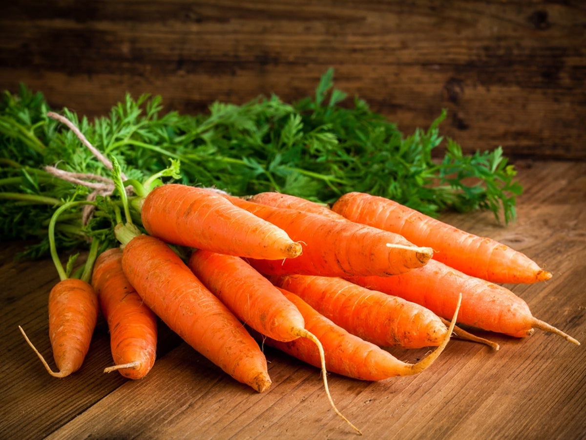 Carrot ಕ್ಯಾರೆಟ್