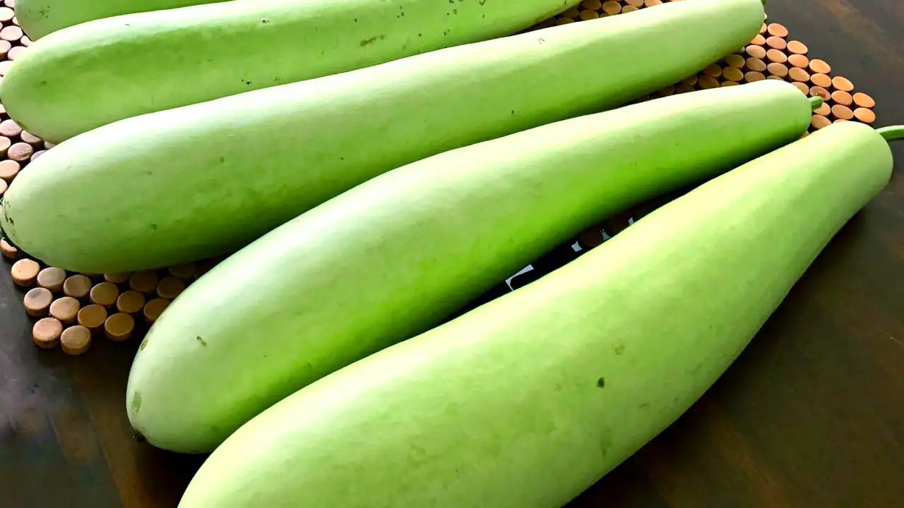 Bottle Gourd ಸೊರೇಖಾಹಿ