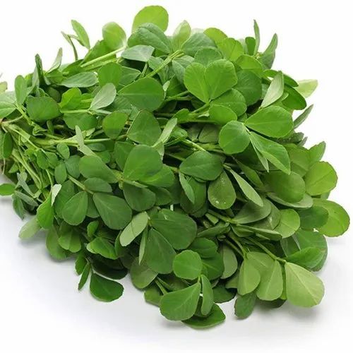 Fenugreek Leaves ಮೆಂತ್ಯ ಸೊಪ್ಪು