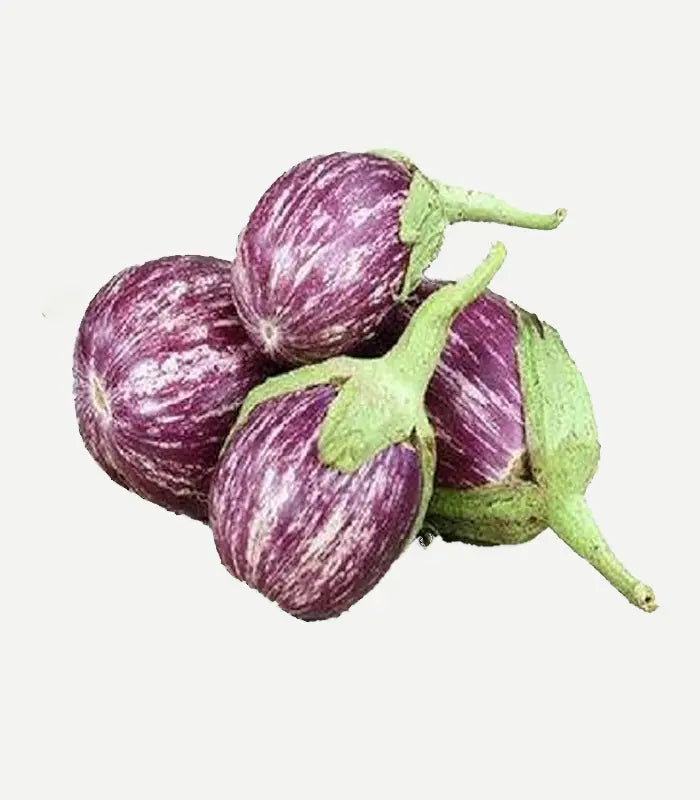 Brinjal ಬದನೆ