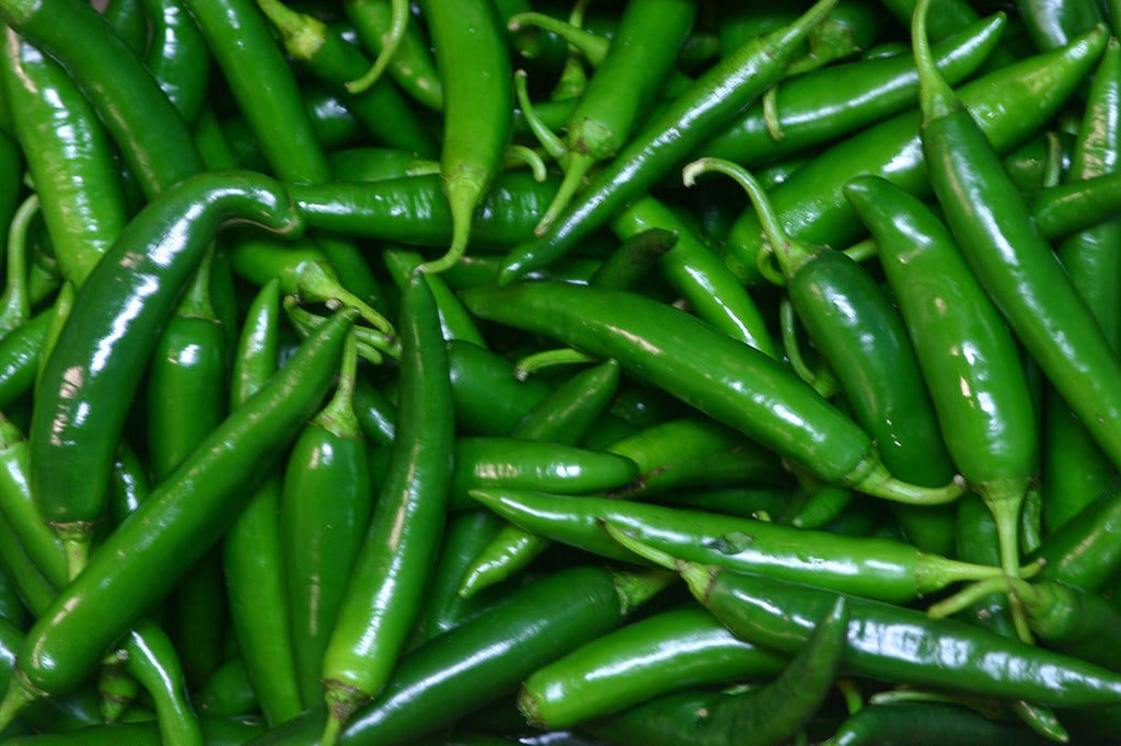 Green chilli ಹಸಿಮೆಣಸಿನಕಾಯಿ