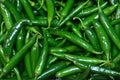 Green chilli ಹಸಿಮೆಣಸಿನಕಾಯಿ