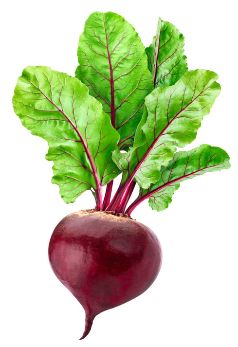 Beetroot ಬೀಟ್ರೂಟ್