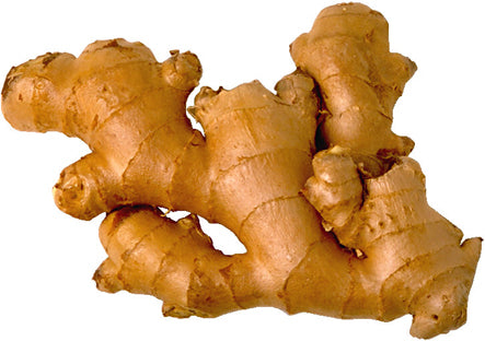 Ginger ಹಸಿ ಶುಂಠಿ