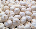 Garlic ಬೆಳ್ಳುಳ್ಳಿ