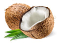 Coconut ತೆಂಗಿನಕಾಯಿ