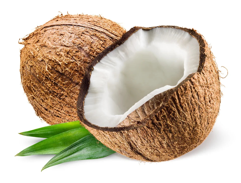 Coconut ತೆಂಗಿನಕಾಯಿ