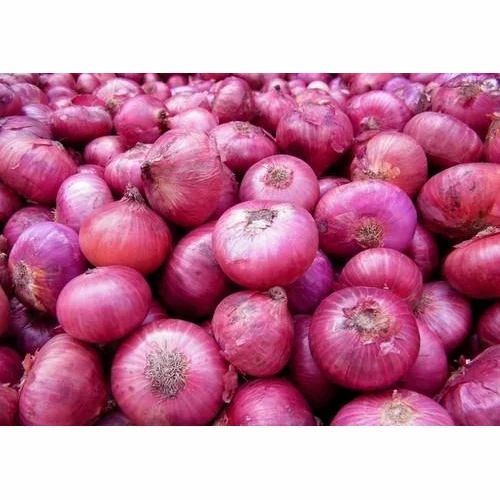 Onion ಈರುಳ್ಳಿ