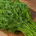 Dill leaves ಸಂಭಾಾಕ್ಷಿ ಸೊಪ್ಪು
