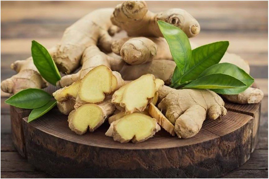 Ginger ಹಸಿ ಶುಂಠಿ