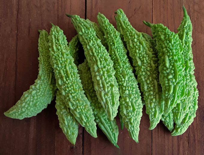 Bitter Gourd ಹಾಗಲಕಾಯಿ