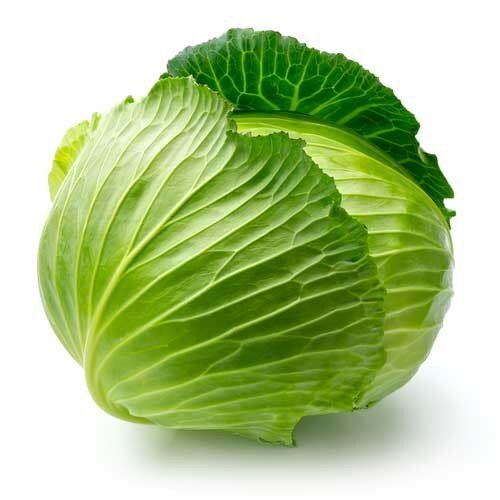 Cabbage ಕೋಸು