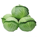 Cabbage ಕೋಸು