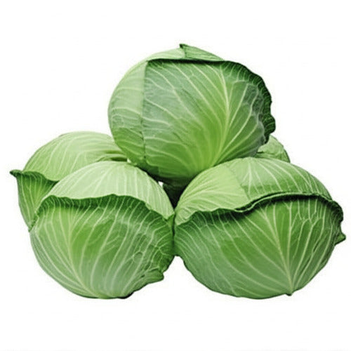 Cabbage ಕೋಸು