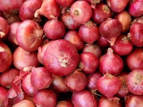 Onion ಈರುಳ್ಳಿ