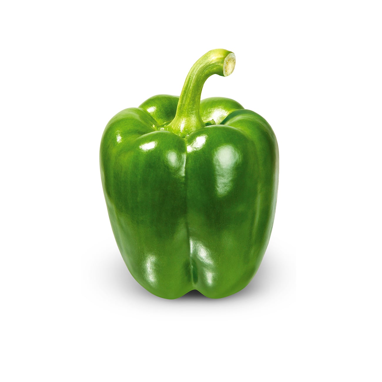 Capsicum ಕ್ಯಾಪ್ಸಿಕಂ